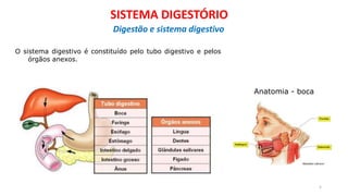 O sistema digestivo é constituído pelo tubo digestivo e pelos
órgãos anexos.
Anatomia - boca
5
SISTEMA DIGESTÓRIO
Digestão e sistema digestivo
 