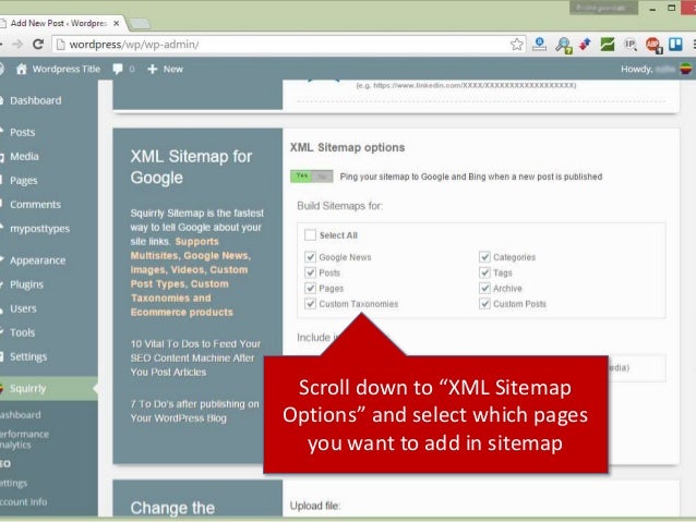 squirrly sitemap xml