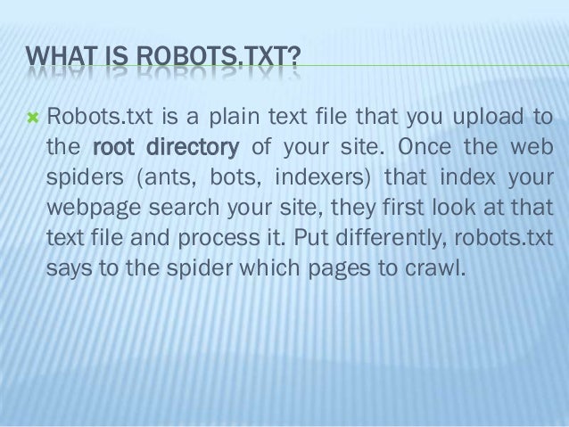 xml sitemap and robots txt guide for seo beginners