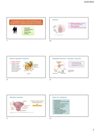 21/07/2022
2
Um casal procurou uma clínica em razão da infertilidade. Como não
havia possibilidade de gravidez natural, optaram pela fertilização in
vitro. Antes do início do tratamento, o homem precisou se tratar de uma
infecção seminal, que geralmente atinge próstata e vesícula seminal.
• Onde estão
localizadas essas
estruturas?
• Quais as suas
funções?
Fonte: Publicdomainpictures.
Sistema reprodutor masculino
1. Gônadas (testículos)
2. Órgãos acessórios
Epidídimo, ducto
deferente, próstata,
vesícula seminal,
glândula bulbouretral,
ducto ejaculatório,
uretra e pênis.
Glândula bulbouretral
Testículo Epidídimo
Escroto
Pênis
Uretra
Ducto
deferente
Bexiga
Vesícula seminal
Próstata
Ducto ejaculatório
Fonte: Adaptado de
Ningyou/Wikimedia
Commons.
Glândulas acessórias
Secretam o sêmen
Próstata, vesículas seminais e
glândulas bulbouretrais
Vesícula seminal
Próstata
Ureter
esquerdo
Osso do
quadril
Ampola do ducto deferente
Ducto
deferente
Ducto ejaculatório
Ducto da vesícula seminal
Glândula bulbouretral
Músculos profundos do períneo
Glândula
bulbouretral
Parte prostática
da uretra
Fonte: Modificado de TORTORA, G.J.; DERRICKSON, B. Princípios de anatomia e fisiologia. 14.ed. Rio de Janeiro: Guanabara
Koogan, 2019.
Testículo
1. Túbulos seminíferos (células de
Sertoli e células germinativas)
2. Tecido intersticial
(vasos sanguíneos e células de Leydig)
Ducto
deferente
Epidídimo
Túbulos
seminíferos
Testículo
Escroto
Fonte: Cancer Research/Wikimedia Commons.
Regulação hormonal – reprodutor masculino
1. Hormônio liberador de
gonadotrofinas (GnRH)
2. Gonadotrofinas: LH e FSH
Testosterona
ABP
Células de Sertoli
FSH LH
Células de Leydig
Testosterona
Inibina
Gonadotrofos
Adeno-hipófise
Fonte: Modificado de TORTORA,
G.J.; DERRICKSON, B. Princípios
de anatomia e fisiologia.
14.ed. Rio de Janeiro: Guanabara
Koogan, 2019.
Ações dos andrógenos
7
8
9
10
11
12
 