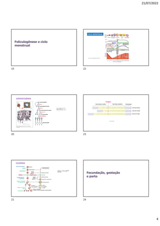 21/07/2022
4
Foliculogênese e ciclo
menstrual
Fonte: Adaptado de OpenStax
College - Anatomy &
Physiology/Wikimedia commons
Espermatogônia
Espermatócito Primário
Espermatócito Secundário
Espermátide
Espermatozoide
Espermiogênese
Meiose II
Meiose I
Mitose
Fonte: Adaptado de Gilbert Scott F./Wikimedia
commons
ESPERMATOGÊNESE
Ovócito primário
Ovócitoprimário
Células foliculares
Ovogônia
MITOSE
CRESCIMENTO
Da puberdade até
a menopausa
Antes do nascimento
Ovócito
primário
(prófase I)
Folículoprimordial
Folículoprimário
Folículoem crescimento
Folículode Graaf
Ovócito
secundário
ovulado
Ovócito
primário
(prófase I)
Meiose I (completada
em respostaao LH)
Meiose II do corpo
polar
Corpos polares
Ovulação
Espermatozoide
Meiose II completada
(somente se ocorrer penetração do espermatozoide)
Infância Ovário inativo
MARIEB, E. N.; HOEHN, K. Anatomia
e fisiologia. 3. ed. Porto Alegre:
Artmed, 2009.
OVOGÊNESE
CICLO MENSTRUAL
Fonte: Own work/Wikimedia Commons.
1 2 3 4 5 6 7 8 9 10 12 13
11 14 16 17
15 18 20 21
19 22 24 25
23 26 28 1
27 2 4 5
3
1 2 3 4 5 6 7 8 9 10 12 13
11 14 16 17
15 18 20 21
19 22 24
23 1 2 4 5
3
1 2 3 4 5 6 7 8 9 10 12 13
11 14 16 17
15 18 20 21
19 22 24 25
23 26 27 28 29 30 31 32 1 2 4 5
3
Fase folicular variável Fase lútea constante
Ovulação
Menstruação
Ciclo de 28 dias
Ciclo de 24 dias
Ciclo de 32 dias
Fonte: Do autor
Fecundação, gestação
e parto
19
20
21
22
23
24
 