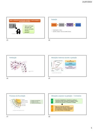 21/07/2022
5
Após a realização da reprodução assistida, o casal conseguiu a
tão desejada gravidez.
Fonte: Pixabay.
Fonte: Publicdomainpic
• Quais as principais
alterações que
ocorrem na mulher
durante a
gestação?
Fertilização
Fonte: Ttrue12/Wikimedia
commons
Processos da fecundação
Citoplasma
Membrana plasmática
Receptor de membrana
Zona pelúcida
Coroa radiada
Acrossomo
Fonte: Modificado de 2OpenStax College/Wikimedia commmons
1. Reação acrossômica;
2. Reação de zona;
3. Fusão dos pronúcleos.
Gestação
• Implantação no útero;
• Gravidez ectópica: fora da cavidade uterina
Fertilização
Fertilização Implantação
Implantação
Desenvolvimento
Embrionário e
Fetal
Desenvolvimento
Embrionário e
Fetal
Nascimento
Nascimento
Alterações maternas durante a gestação
Gonadotrofina coriônica humana
(hCG)
Estrogênios
Progesterona
Fertilização
Parto
Níveis
sanguíneos
Idade do embrião/feto
(semanas)
Fonte: Adaptado de TORTORA & DERRICKSON (2019).
Alterações corporais na gestação – 3 trimestres
• Aumenta metabolismo, frequência cardíaca e
respiratória (feto necessita de oxigênio). Útero
aumenta de tamanho e pressiona a bexiga.
• Útero em expansão (perda da
delimitação da cintura); relaxamento
da musculatura intestinal (alimento
por maior tempo no estômago).
1°
2°
25
26
27
28
29
30
 