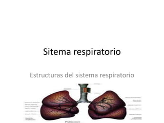 Sitema respiratorio

Estructuras del sistema respiratorio
 