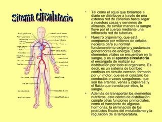 Tal como el agua que tomamos a diario se distribuye a través de una extensa red de cañerías hasta llegar a nuestras casas y servirnos de alimento, de similar manera la sangre fluye por el cuerpo mediante una intrincada red de tuberías. Nuestro organismo, que está compuesto por millones de células, necesita para su normal funcionamiento oxígeno y sustancias generadoras de energía. Estos elementos vitales se encuentran en la sangre, y es el  aparato circulatorio  el encargado de realizar su distribución por todo el organismo. Es decir, es un sistema de bombeo continuo en circuito cerrado, formado por un motor, que es el corazón; los conductos o vasos sanguíneos, que son las arterias, venas y capilares; y el fluido que transita por ellos, la sangre. Además de transportar los elementos nutritivos, este centro de distribución cumple otras funciones primordiales, como el transporte de algunas hormonas, la eliminación de los productos finales del metabolismo y la regulación de la temperatura. Sitema circulatorio 