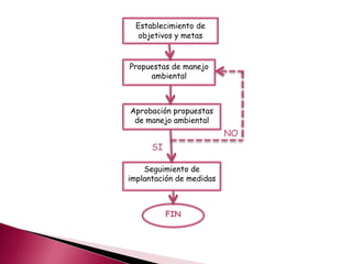 Establecimiento de
objetivos y metas
Propuestas de manejo
ambiental
Aprobación propuestas
de manejo ambiental
FIN
Seguimiento de
implantación de medidas
SI
NO
 