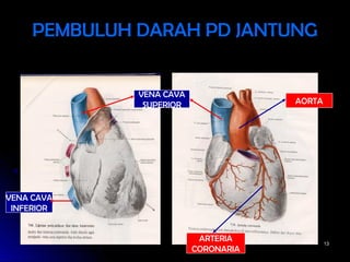 1313
PEMBULUH DARAH PD JANTUNGPEMBULUH DARAH PD JANTUNG
AORTA
ARTERIA
CORONARIA
VENA CAVA
SUPERIOR
VENA CAVA
INFERIOR
 