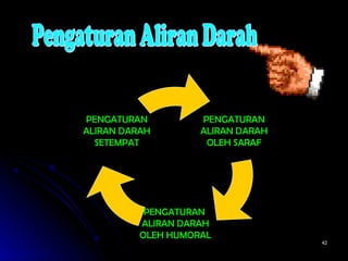 4242
PENGATURAN
ALIRAN DARAH
OLEH SARAF
PENGATURAN
ALIRAN DARAH
OLEH HUMORAL
PENGATURAN
ALIRAN DARAH
SETEMPAT
 