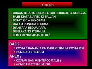 77
JANTUNGJANTUNG
 ORGAN BEROTOT, BERBENTUK KERUCUT, BERONGGA
 BASIS DIATAS, APEX DI BAWAH
 BERAT 250 – 300 GRAM
 DALAM RONGGA THORAX
 DIANTARA KEDUA PARU
 DIBELAKANG STERNUM
 LEBIH MENGHADAP KE KIRI
BASIS :
• COSTA 3 KANAN, 2 CM DARI STERNUM, COSTA KIRI
• 2 CM DARI STERNUM
APEX :
• COSTAV DAN VI/INTERCOSTALIS 5
• 4 CM DARI STERNUM KIRI
 