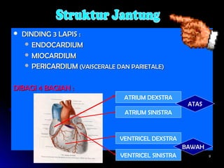 99
 DINDING 3 LAPIS :DINDING 3 LAPIS :
 ENDOCARDIUMENDOCARDIUM
 MIOCARDIUMMIOCARDIUM
 PERICARDIUMPERICARDIUM (VAISCERALE DAN PARIETALE)(VAISCERALE DAN PARIETALE)
DIBAGI 4 BAGIAN :DIBAGI 4 BAGIAN :
ATRIUM DEXSTRA
ATRIUM SINISTRA
VENTRICEL DEXSTRA
VENTRICEL SINISTRA
ATAS
BAWAH
 