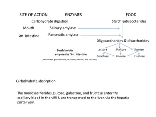 SITE OF ACTION                  ENZYMES                                             FOOD Carbohydrate digestion  Starch &disaccharides  Mouth   Salivary amylase  Pancreatic amylase Sm. Intestine   Oligosaccharides & disaccharides   Brush border  enzymes in  Sm. Intestine Lactose Maltose Sucrose Galactose Glucose Fructose   ( dextrinase, glucoamylase,lactasem, maltase, and sucrase)  Carbohydrate absorption The monosaccharides glucose, galactose, and fructose enter the capillary blood in the villi & are transported to the liver. via the hepatic portal vein. 