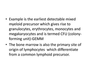 Site of haemopoiesis | PPTX
