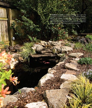 23www.wildflower.org
WILDFLOWER|WINTER2010
At EcoManor, a small recirculating water feature was created in the
rear garden to provide habitat for frogs, turtles, birds and butterflies.
Water from the rainwater harvesting system fills the pond, and power is
supplemented to the pumps from the home’s solar panels. Native plants
include Piedmont azalea (Rhododendron canescens), marginal shield fern
(Dryopteris marginalis) and cherry laurel (Prunus caroliniana).
1004_Sites:Layout 1 11/4/10 5:12 PM Page 23
 