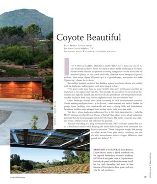 27www.wildflower.org
WILDFLOWER|WINTER2010
PILOT PROJECT: COYOTE HOUSE
LOCATION: SANTA BARBARA, CA
SUSTAINABLE FOCUS: WATER REUSE, VEGETATION, MATERIALS
F IT’S NOT A NATIVE, LOCALLY ADAPTED PLANT, then you can eat it,”
says landscape architect Susan Van Atta of plants in the landscape at her Santa
Barbara home. Natives are planted according to exposure: on the north side are
woodland plants, on the sunny south side a lawn of native bentgrass (Agrostis
pallens). Non-native thyme (Thymus sp.) is a groundcover; non-native artichoke
(Cynara sp.) chosen for its form.
She and her husband, architect Ken Radtkey, wanted to achieve a home very unified
with the landscape, and two green roofs were integral to that.
“The green roofs alone have so many benefits that aren’t well-known and that are
important to our region,” says Van Atta. “For example, the succulents on one roof are fire-
resistant in a high-fire-hazard area. Green roofs also provide not only temperature insula-
tion but insulation from noisy, intense nighttime winds that are common here.”
Other landscape choices were made according to local environmental concerns.
Twelve existing eucalyptus trees – a fire hazard – were removed and used as lumber for
garage doors, building trim, windowsills and even a dining table and bookshelves.
Sandstone boulders were salvaged from another site to build stairs and walls.
Van Atta – whose landscape architecture firm is Van Atta Associates Inc. – calls the
LEED® platinum-certified Coyote House a “big lab” that allows her to adopt sustainable
practices that she has encouraged clients to try for years. The family composts, and chick-
ens live in a chicken tractor and will roam the grounds.
And not everything was a big investment like the EPIC® rainwater system that acts
as a distributed cistern while keeping the native lawn irrigated with minimum loss
from evaporation. “Some things are simple, like putting
an arbor across from glass doors. Anything you can
do with microclimate makes a bigger difference than
people can believe.” a
Coyote Beautiful
ABOVE LEFT In the foothills of Santa Barbara,
Coyote Manor seems to blend seamlessly into
the regional landscape’s mountain backdrop.
LEFT One of two green roofs at Coyote Manor.
Not only do green roofs limit stormwater runoff,
but the roofs themselves last twice as long
because of the protective layer green roofs pro-
vide the roof membrane.
I
PHOTOBYTYSONELLIS
1004_Sites:Layout 1 11/5/10 4:24 PM Page 27
 