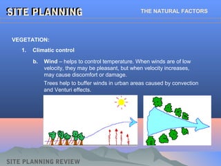SITE PLANNINGSITE PLANNING THE NATURAL FACTORS
1. Climatic control
VEGETATION:
SITE PLANNING REVIEW
b. Wind – helps to control temperature. When winds are of low
velocity, they may be pleasant, but when velocity increases,
may cause discomfort or damage.
Trees help to buffer winds in urban areas caused by convection
and Venturi effects.
 