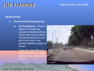 SITE PLANNINGSITE PLANNING THE NATURAL FACTORS
2. Environmental Engineering
VEGETATION:
SITE PLANNING REVIEW
a. Air Purification – Plants
clean air through the
process of photosynthesis
where they use up carbon
dioxide emissions of cars
and trucks and in the
process release oxygen into
the air.
Trees also help filter out
other pollutants, i.e. sulfur
dioxide, dust, pollen, and
smoke.
 
