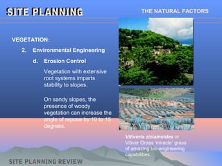 SITE PLANNINGSITE PLANNING THE NATURAL FACTORS
SITE PLANNING REVIEW
2. Environmental Engineering
VEGETATION:
d. Erosion Control
Vegetation with extensive
root systems imparts
stability to slopes.
On sandy slopes, the
presence of woody
vegetation can increase the
angle of repose by 10 to 15
degrees.
Vitiveria ziziainoides or
Vitiver Grass ‘miracle’ grass
of amazing bio-engineering
capabilities.
 