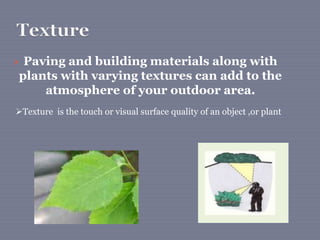  Paving and building materials along with
plants with varying textures can add to the
atmosphere of your outdoor area.
Texture is the touch or visual surface quality of an object ,or plant
 