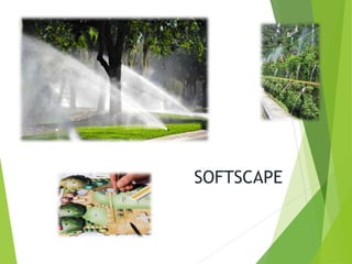 SOFTSCAPE
 