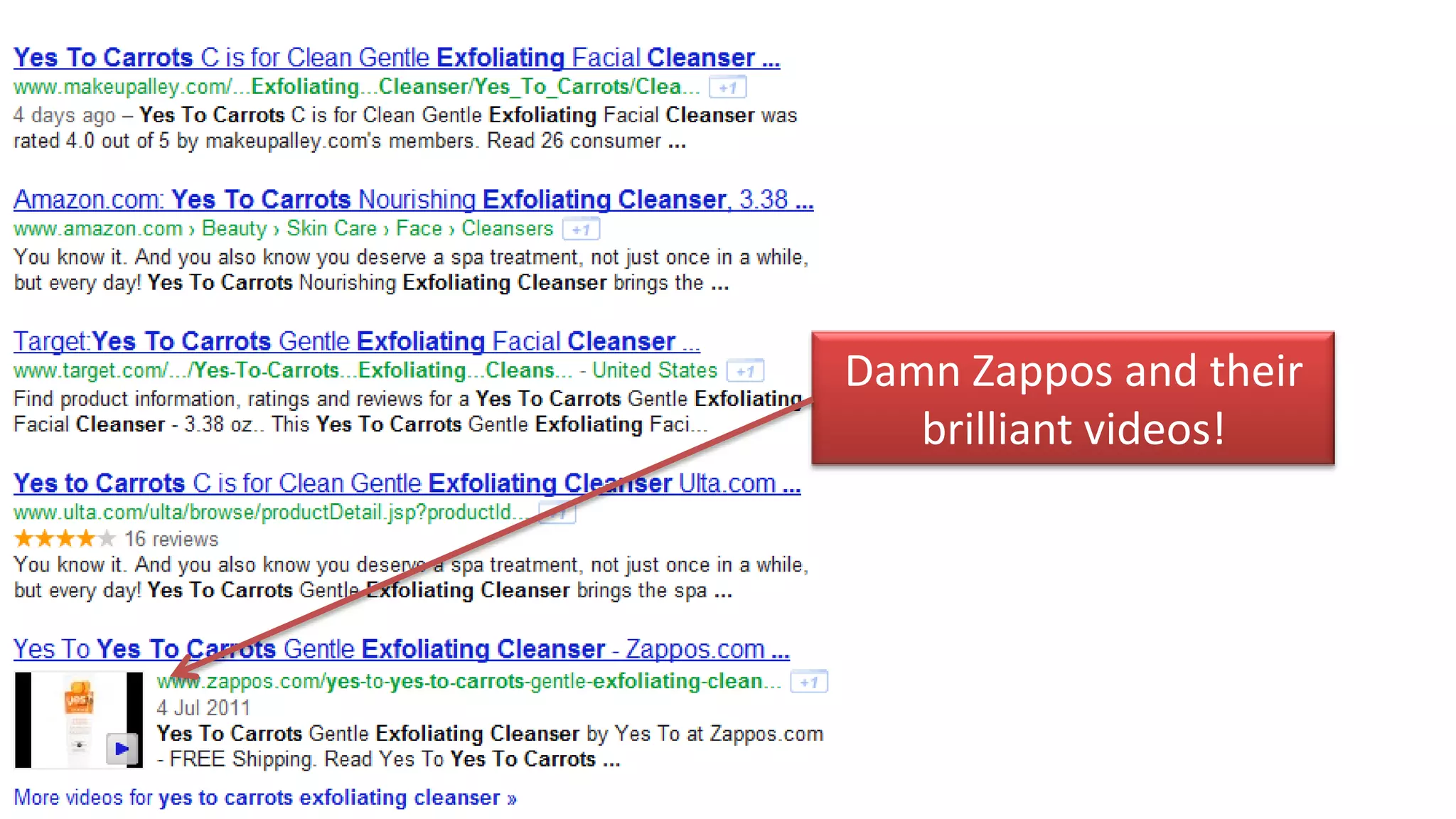 Damn Zappos and their
   brilliant videos!
 
