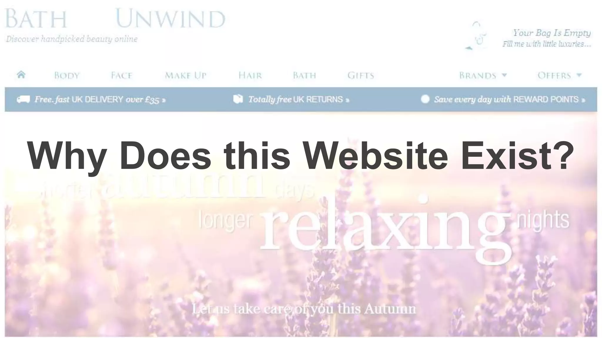 Why Does this Website Exist?
 