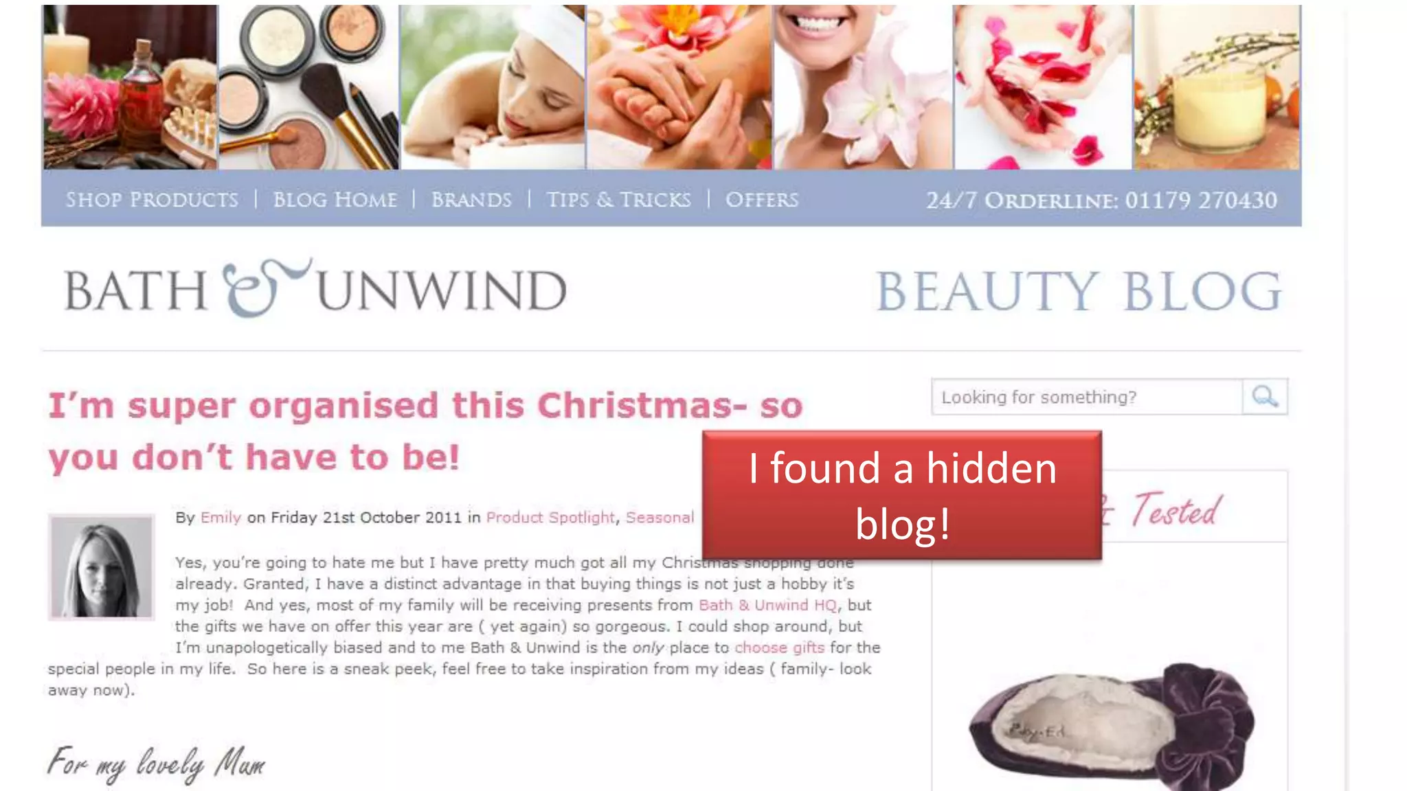 I found a hidden
      blog!
 