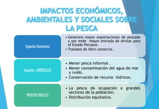 • Generara mayor exportaciones de pescado
y por ende mayor entrada de divisas para
el Estado Peruano.
• Tratados de libre comercio.
Impactos Económicos
• Menor pesca informal .
• Menor contaminación del agua de mar
y ruido.
• Conservación de recurso hídricos.
Impactos AMBIENTALES
• La pesca da ocupación a grandes
sectores de la población.
• Distribución equitativa.
IMPACTOS SOCIALES
 