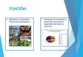  Identificar y desarrollar
iniciativas exportadoras.
 Promover el incremento y
desarrollo de la oferta
exportable de bienes y
servicios.
 