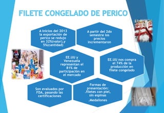 A partir del 2do
semestre los
precios
incrementaron
A inicios del 2013
la exportación de
perico se redujo
en 32%(valor),y
5%(cantidad)
EE.UU y
Venezuela
representan el
81% de
participación en
el mercado
EE.UU nos compra
el 74% de la
producción en
filete congelado
Formas de
presentación:
.filetes con piel,
sin espinas
.Medallones
Son evaluados por
FDA, pasando las
certificaciones
 