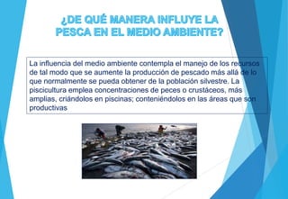 La influencia del medio ambiente contempla el manejo de los recursos
de tal modo que se aumente la producción de pescado más allá de lo
que normalmente se pueda obtener de la población silvestre. La
piscicultura emplea concentraciones de peces o crustáceos, más
amplias, criándolos en piscinas; conteniéndolos en las áreas que son
productivas
 