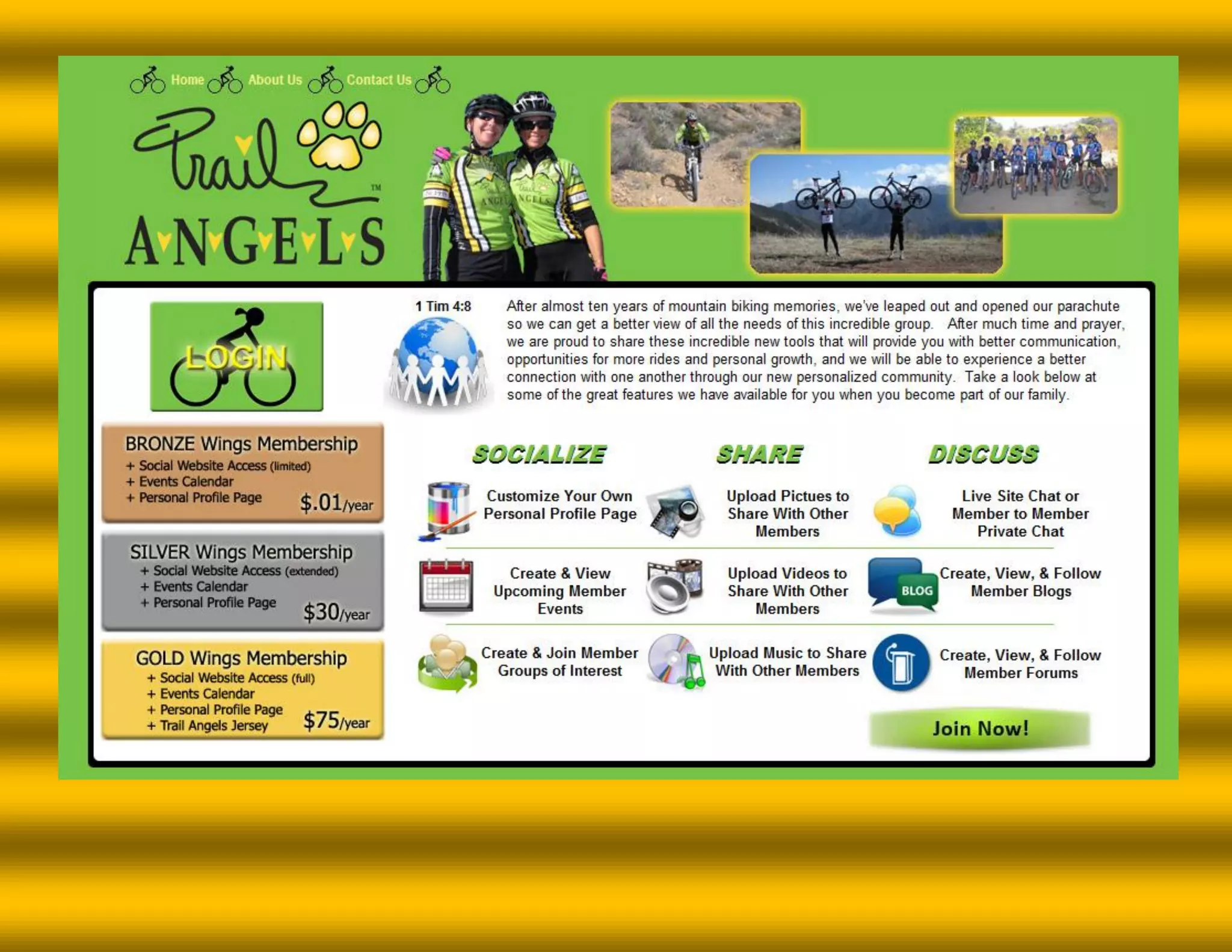 Website Design Portfolio