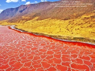 Tanzanie : Le Lac Natron
Le lac Natron est un lac salé alcalin endoréique d'origine
tectonique présent au nord de la Tanzanie.
 