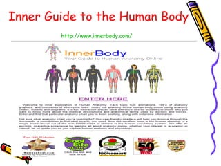 Inner Guide to the Human Body http://www.innerbody.com/   