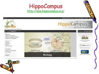 Sitesforhomeworkhelp10 12 11