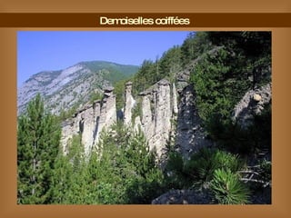 Demoiselles coiffées  