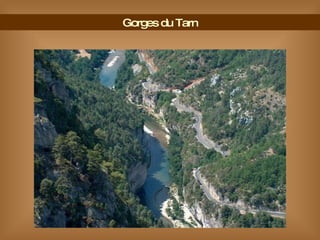 Gorges du Tarn 