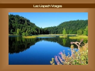 Lac Lispach Vosges 