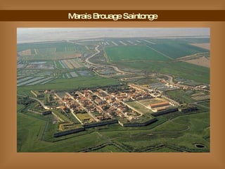 Marais Brouage Saintonge 
