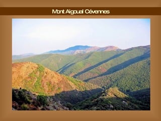 Mont Aigoual Cévennes 