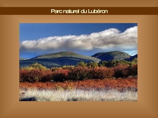 Parc naturel du Lubéron 