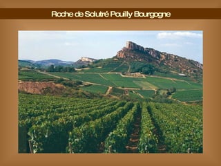 Roche de Solutré Pouilly Bourgogne 