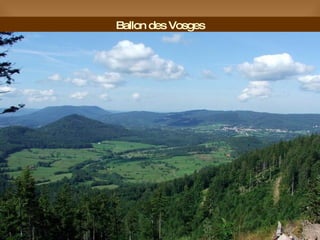 Ballon des Vosges 