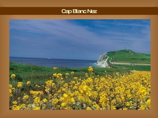 Cap Blanc Nez 