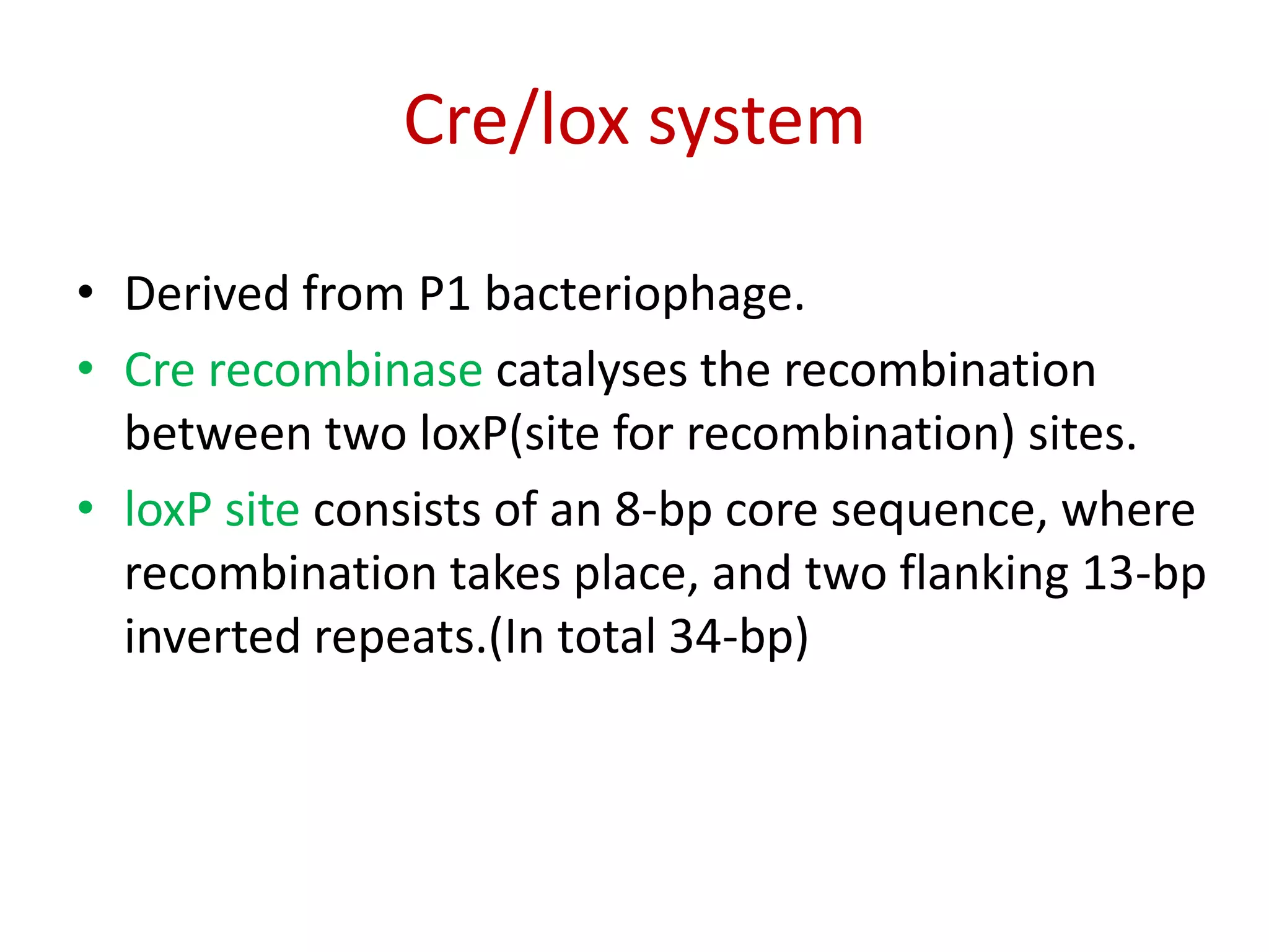 Cre/lox system
• Derived from P1 bacteriophage.
• Cre recombinase catalyses the recombination
between two loxP(site for recombination) sites.
• loxP site consists of an 8-bp core sequence, where
recombination takes place, and two flanking 13-bp
inverted repeats.(In total 34-bp)
 
