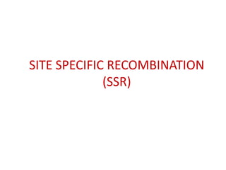 SITE SPECIFIC RECOMBINATION
(SSR)
 