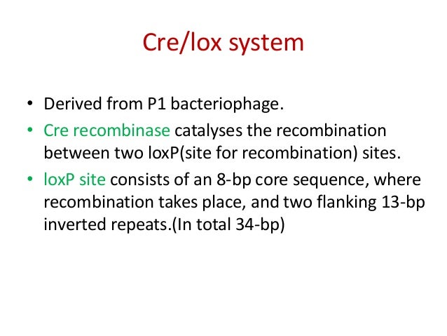 cre lox system under fontanacountryinn com cre lox system