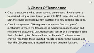 Site specific recombination and transposition.........pdf