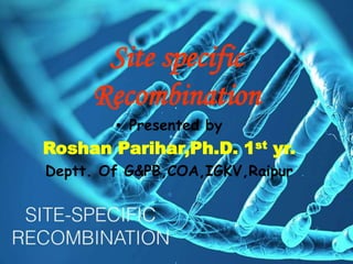 Site specific
Recombination
• Presented by
Roshan Parihar,Ph.D. 1st yr.
Deptt. Of G&PB,COA,IGKV,Raipur
 