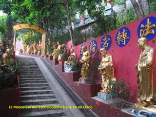 Le Monastère des 1000 Bouddha à Sha Tin en Chine.

 