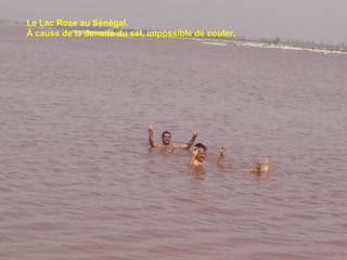 Le Lac Rose au Sénégal.
À cause de la densité du sel, impossible de couler.

 