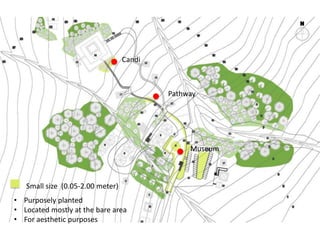 Small size (0.05-2.00 meter)
• Purposely planted
• Located mostly at the bare area
• For aesthetic purposes
Candi
Pathway
Museum
 